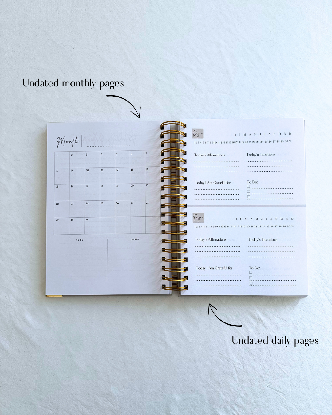 Dream, Plan, Manifest Planner - The Creamiest Beige