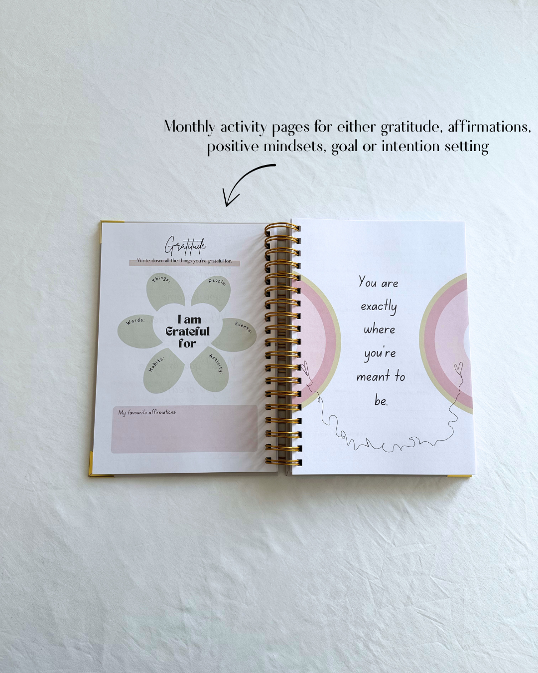 Dream, Plan, Manifest Planner - The Creamiest Beige