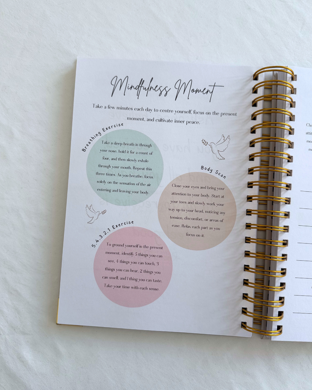 Dream, Plan, Manifest Planner - The Creamiest Beige
